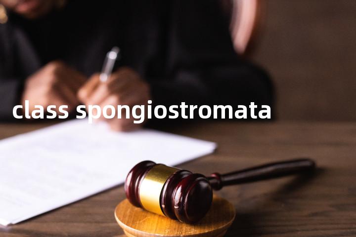 class spongiostromata单词图解，单词释义场景配图