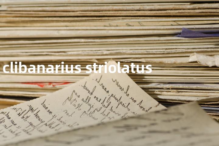 clibanarius striolatus单词图解，单词释义场景配图