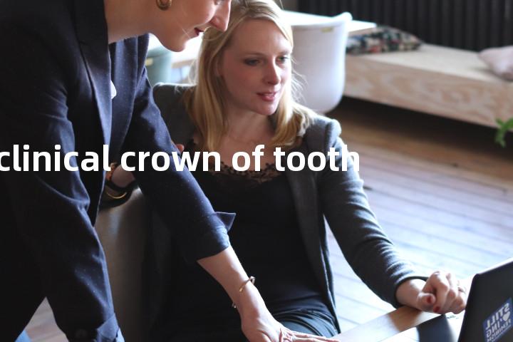 clinical crown of tooth单词图解，单词释义场景配图