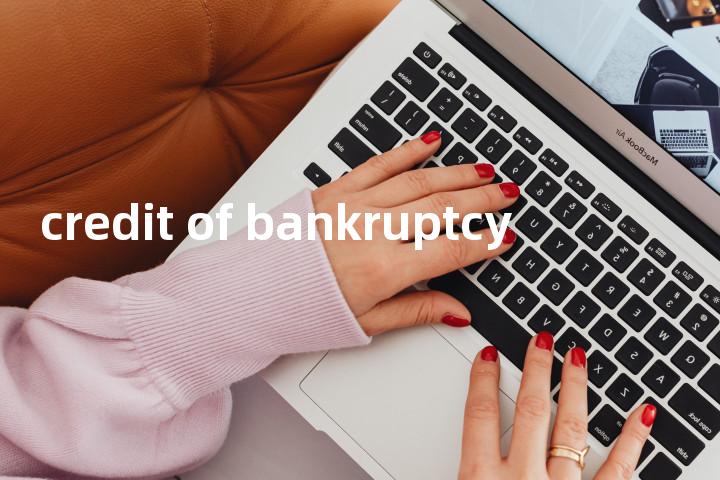 credit of bankruptcy单词图解，单词释义场景配图