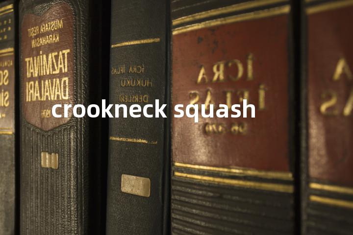 crookneck squash单词图解，单词释义场景配图