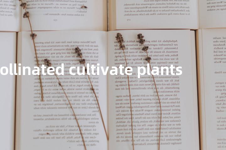 cross -pollinated cultivate plants单词图解，单词释义场景配图