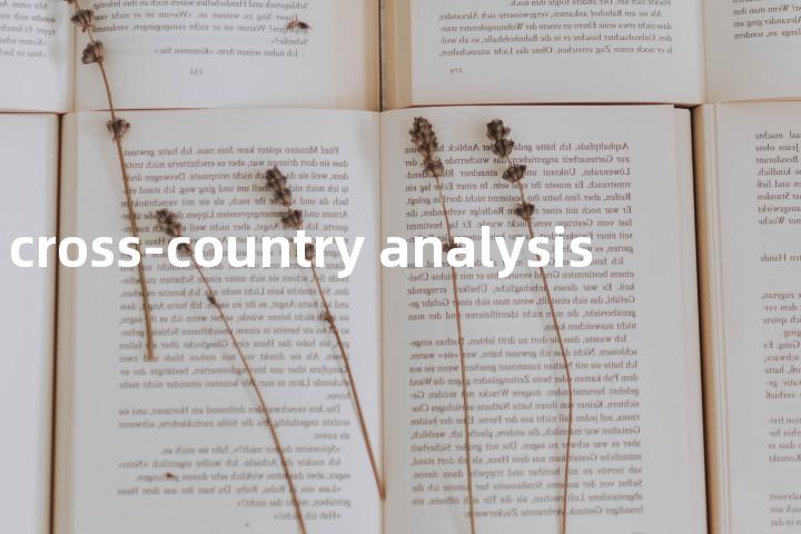 cross-country analysis单词图解，单词释义场景配图