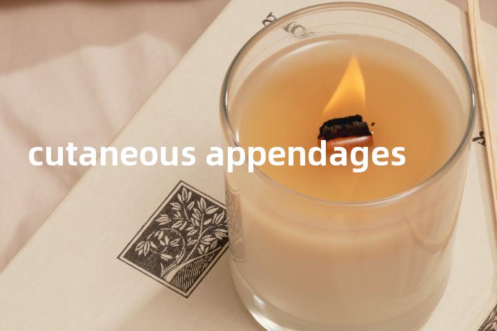 cutaneous appendages单词图解，单词释义场景配图