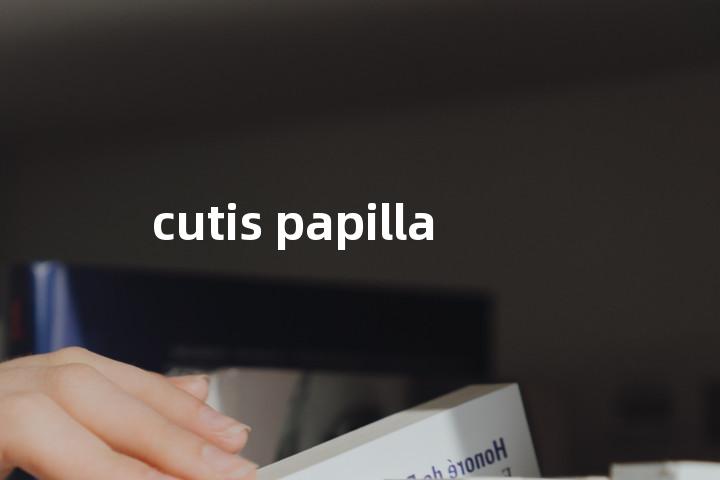 cutis papilla单词图解，单词释义场景配图