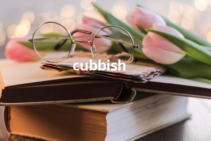 cubbish单词图解，单词释义场景配图
