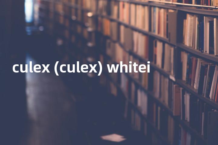 culex (culex) whitei单词图解，单词释义场景配图