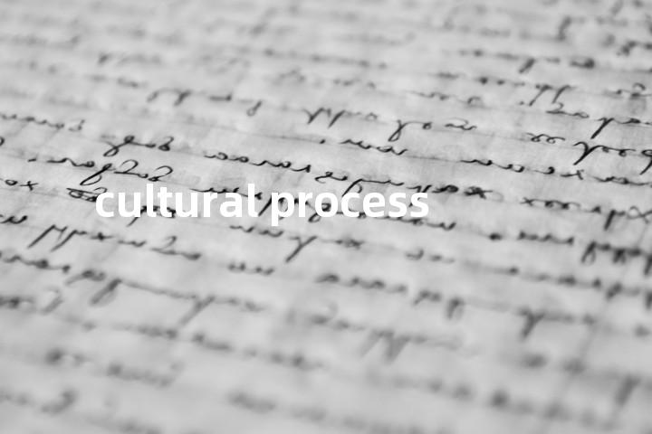 cultural process单词图解，单词释义场景配图