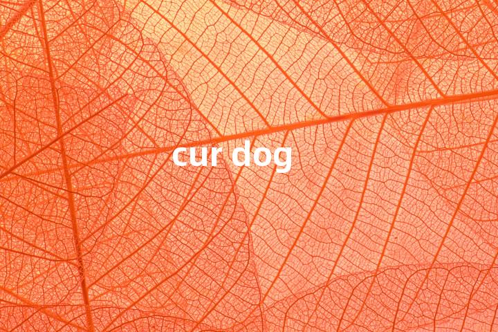cur dog单词图解，单词释义场景配图