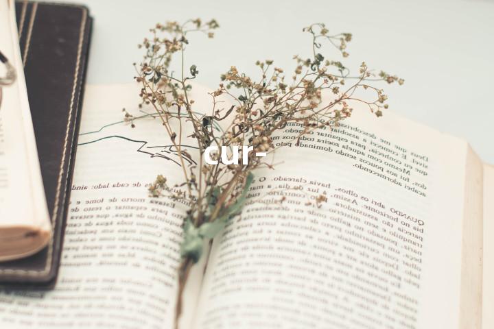 cur-单词图解，单词释义场景配图
