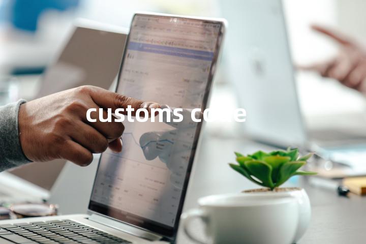 customs code单词图解，单词释义场景配图