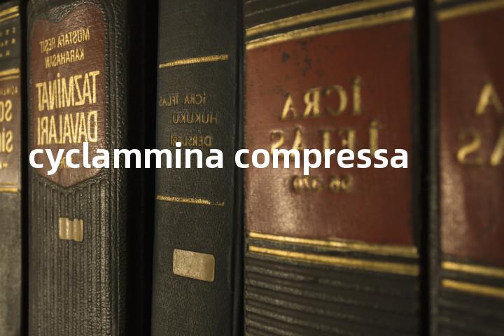 cyclammina compressa单词图解，单词释义场景配图