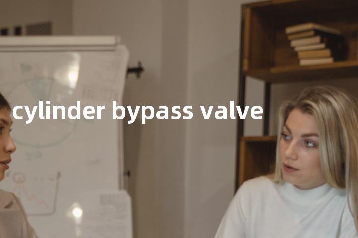cylinder bypass valve单词图解，单词释义场景配图