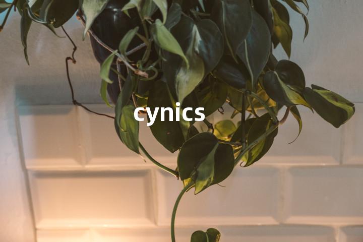 cynics单词图解，单词释义场景配图