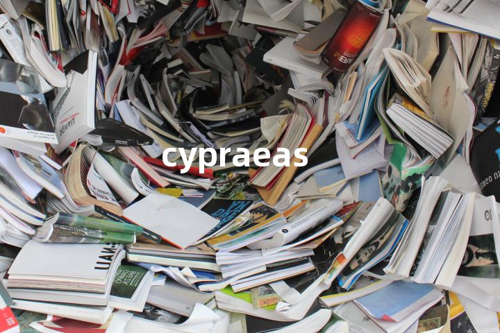 cypraeas单词图解，单词释义场景配图