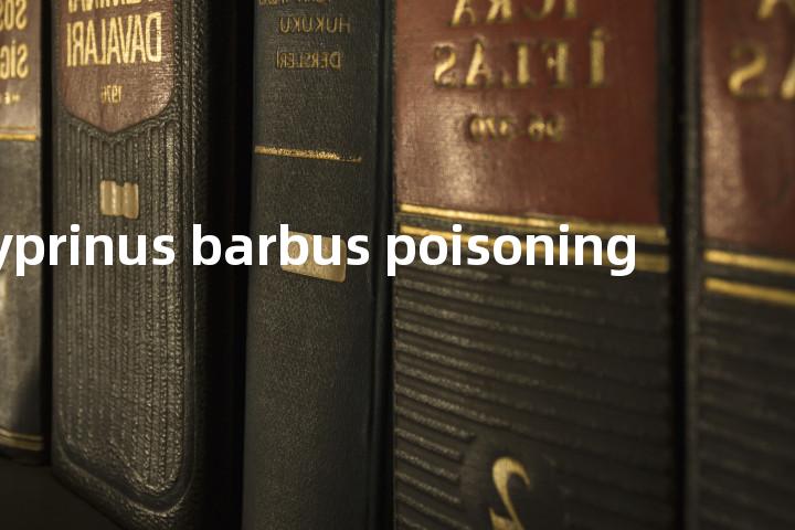 cyprinus barbus poisoning单词图解，单词释义场景配图