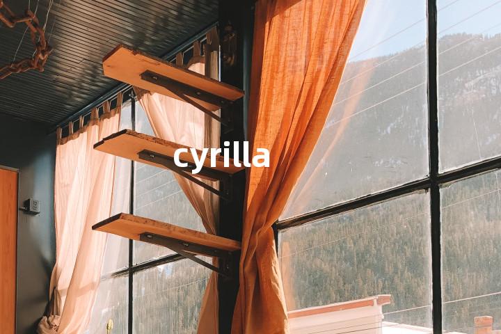 cyrilla单词图解，单词释义场景配图