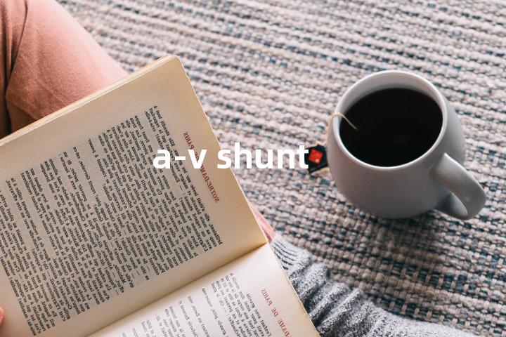 a-v shunt单词图解，单词释义场景配图