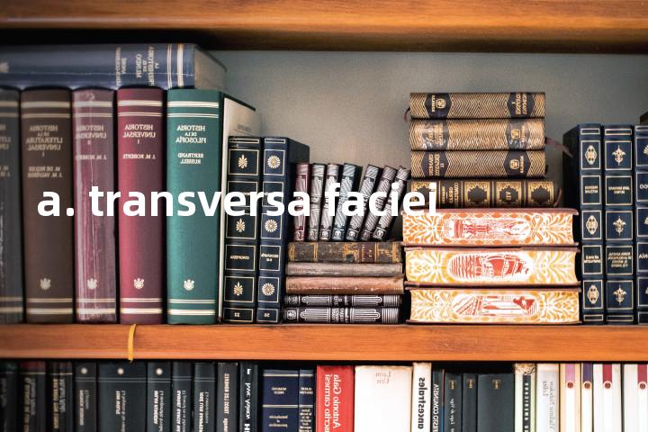 a. transversa faciei单词图解，单词释义场景配图