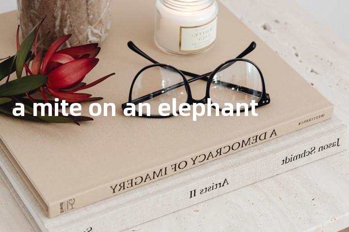 a mite on an elephant单词图解，单词释义场景配图