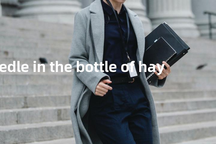 a needle in the bottle of hay单词图解，单词释义场景配图