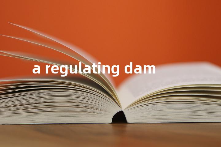 a regulating dam单词图解，单词释义场景配图