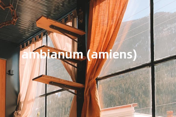 ambianum (amiens)单词图解，单词释义场景配图