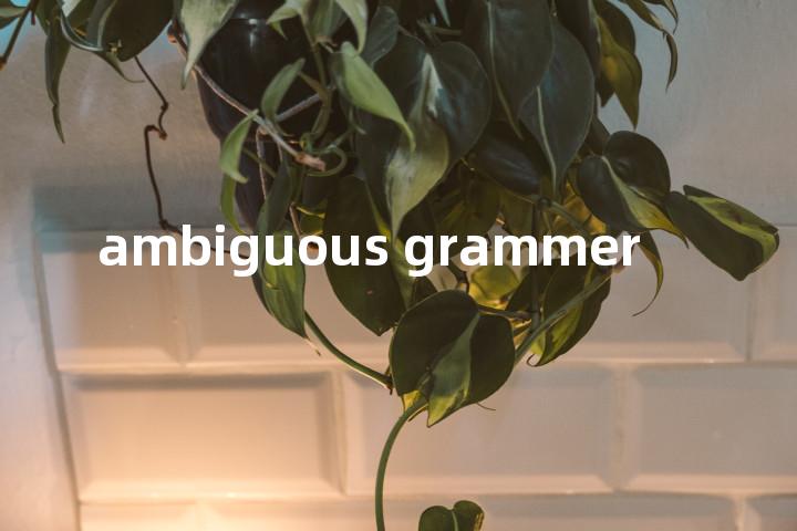 ambiguous grammer单词图解，单词释义场景配图