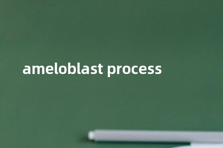 ameloblast process单词图解，单词释义场景配图