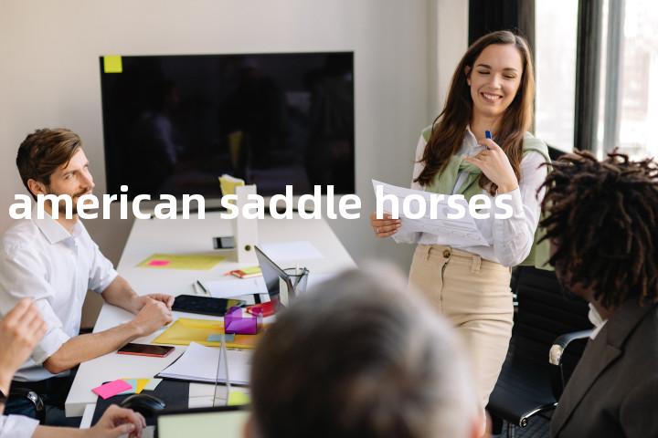 american saddle horses单词图解，单词释义场景配图