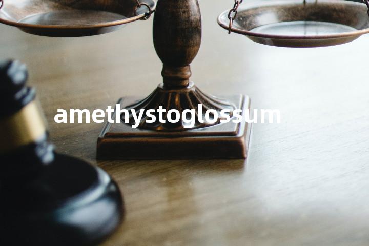 amethystoglossum单词图解，单词释义场景配图