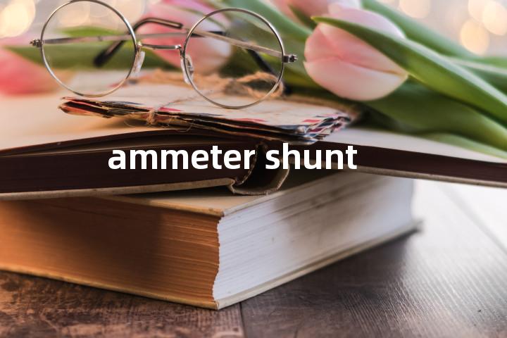ammeter shunt单词图解，单词释义场景配图