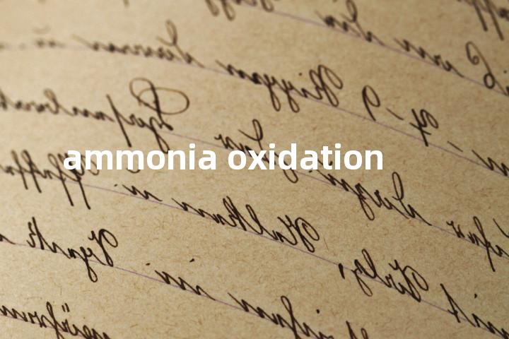 ammonia oxidation单词图解，单词释义场景配图