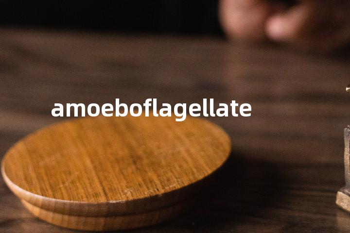 amoeboflagellate单词图解，单词释义场景配图