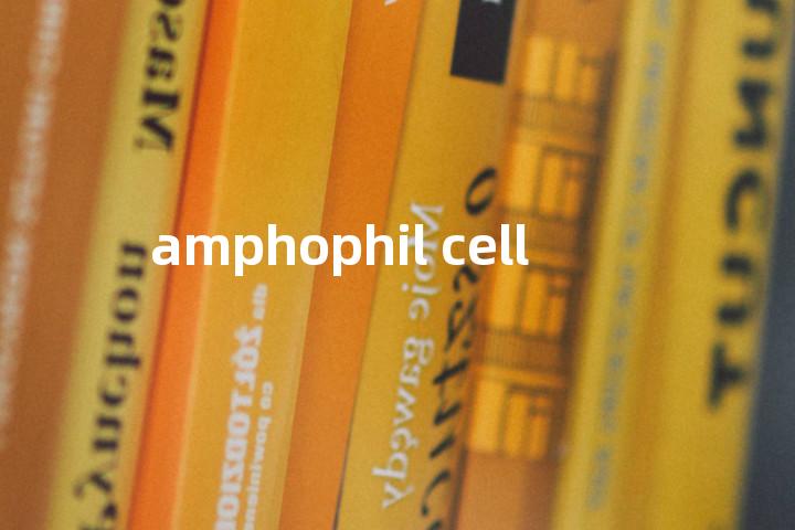 amphophil cell单词图解，单词释义场景配图