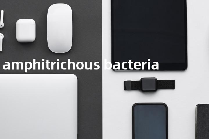 amphitrichous bacteria单词图解，单词释义场景配图