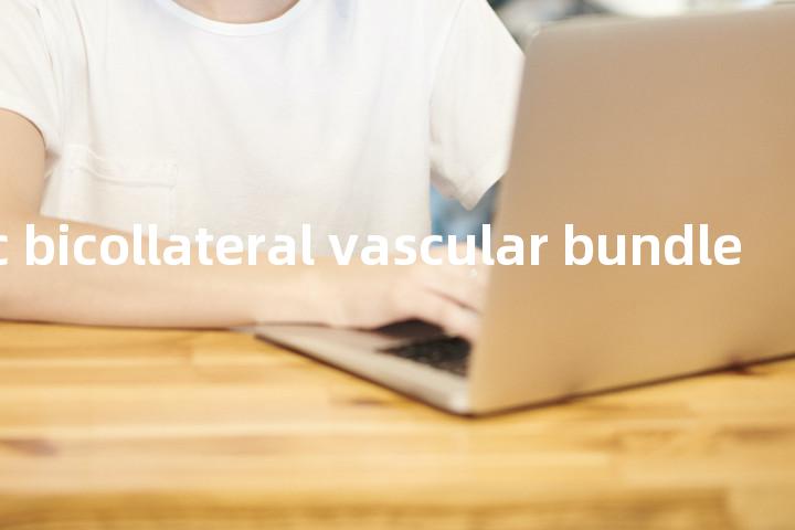 amphiphloic bicollateral vascular bundle单词图解，单词释义场景配图