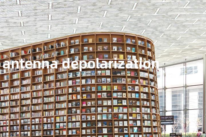 antenna depolarization单词图解，单词释义场景配图