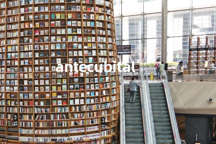 antecubital单词图解，单词释义场景配图