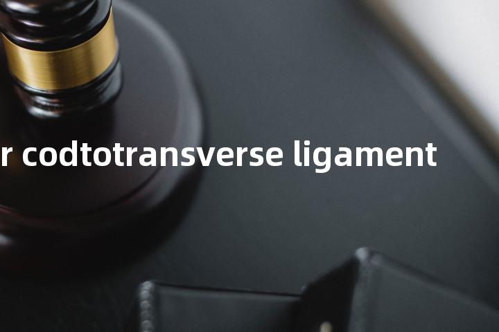 anterior codtotransverse ligament单词图解，单词释义场景配图