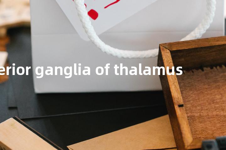 anterior ganglia of thalamus单词图解，单词释义场景配图