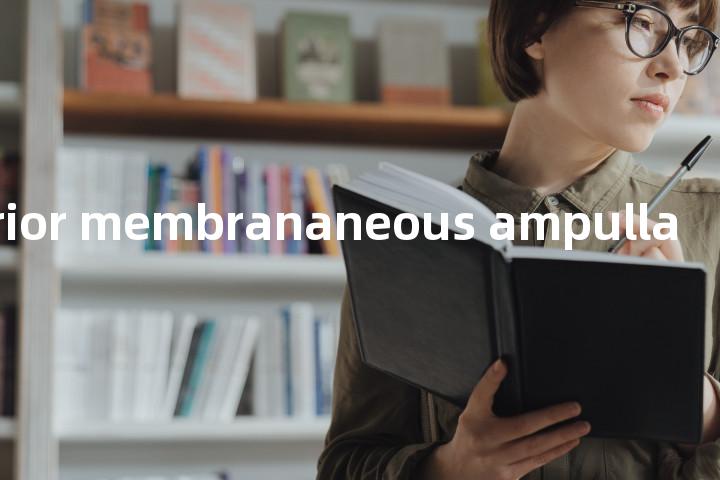 anterior membrananeous ampulla单词图解，单词释义场景配图