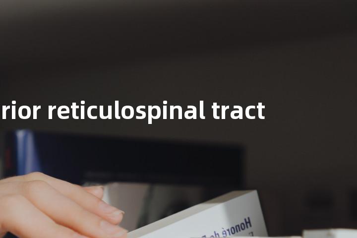 anterior reticulospinal tract单词图解，单词释义场景配图