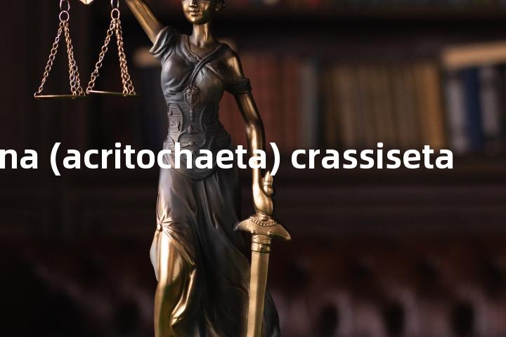 antherigona (acritochaeta) crassiseta单词图解，单词释义场景配图