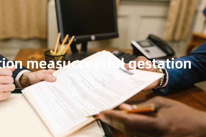 anti-abortion measuccessful gestation单词图解，单词释义场景配图