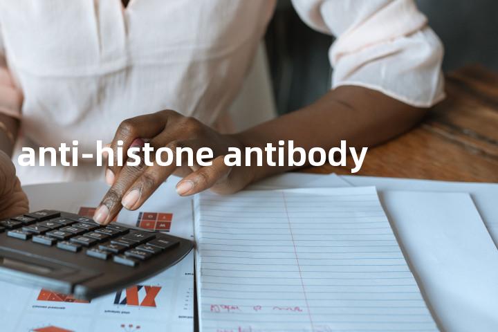 anti-histone antibody单词图解，单词释义场景配图
