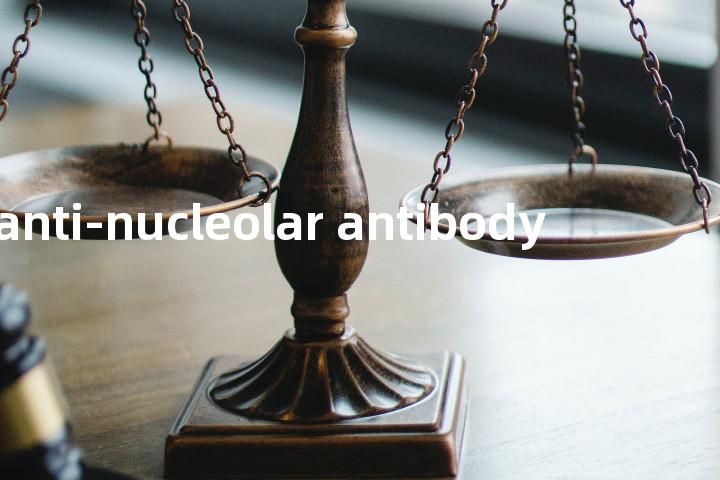 anti-nucleolar antibody单词图解，单词释义场景配图