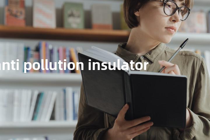 anti pollution insulator单词图解，单词释义场景配图