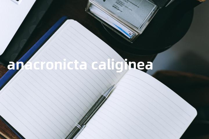 anacronicta caliginea单词图解，单词释义场景配图