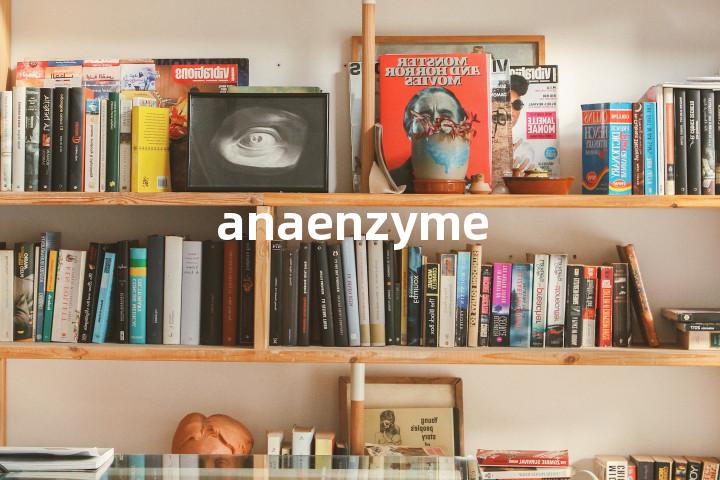 anaenzyme单词图解，单词释义场景配图